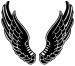 black-angel-wings-3.jpg